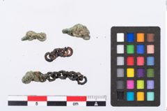 Foto von Bronzekettchen (NHMW-PRAE-078106)